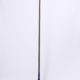 RAMI2597 ground based antenna